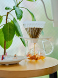 Photo of Hario V60-02 "Surfboard" Dripper (Glass) ( ) [ HARIO ] [ Pourover Brewers ]