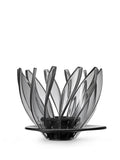 Photo of HARIO V60-02 Suiren Dripper ( Transparent Black ) [ HARIO ] [ Pourover Brewers ]