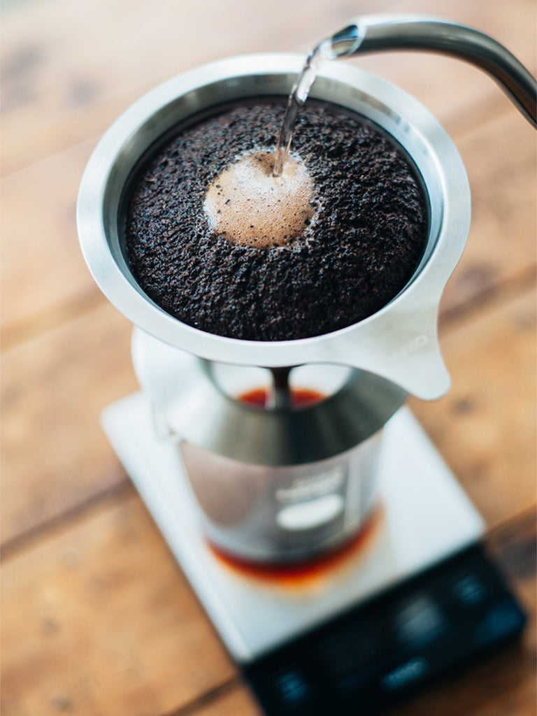 HARIO 01 Dual Mesh Filter Dripper – Hario Canada