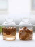 Photo of HARIO Glass Storage Jar (1000ml/34oz) ( ) [ HARIO ] [ Storage ]