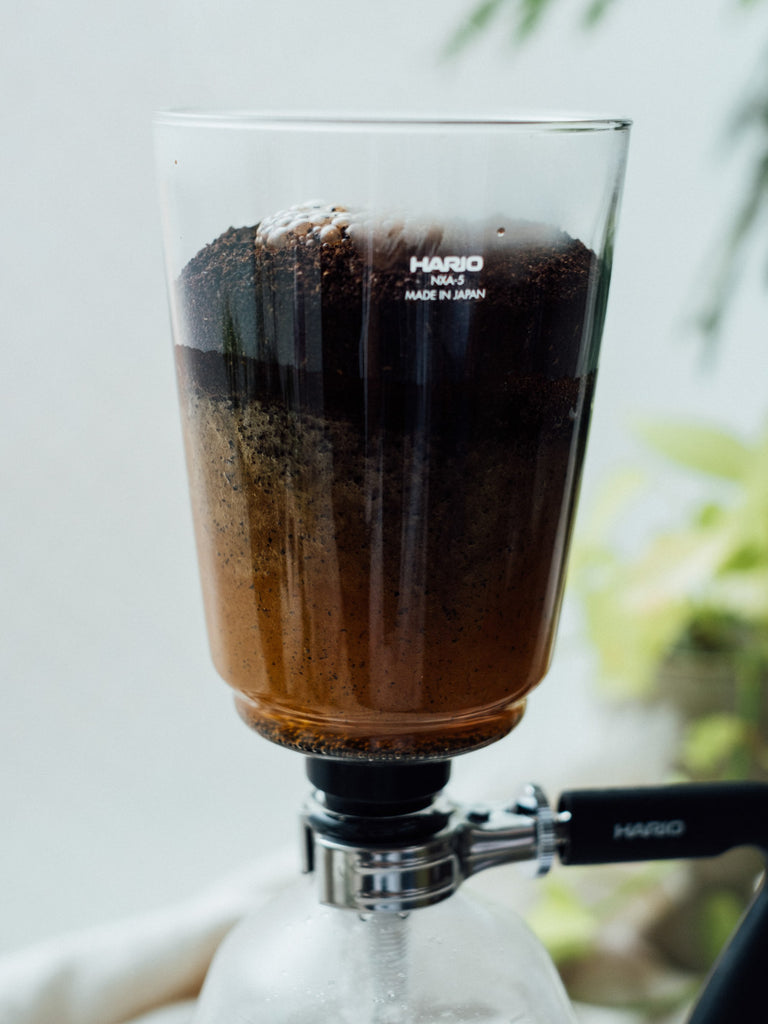 HARIO NEXT Syphon – Hario Canada